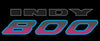 Polaris 1995 Indy Storm Indy 800 Decal
