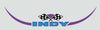 1997 Polaris 488 Super Sport Top Hood Indy Decals
