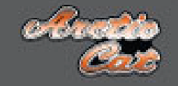 1978 Arctic Cat Pantera Front Hood Decal