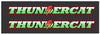 1999 Arctic Cat Thundercat Side Hood Decals