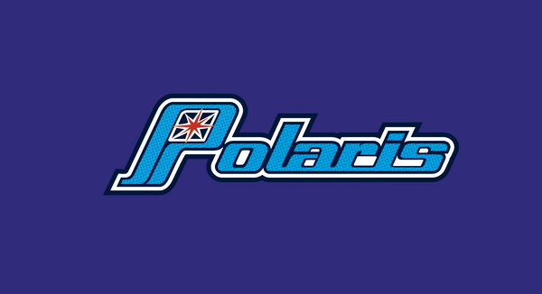 1980 Polaris Script Hood Decal