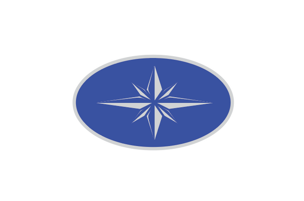 Dome Coat Decal for 2004 Pro XR Polaris Dash