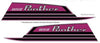 1971 Arctic Cat Panther Decal Hood