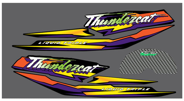 1998 Arctic Cat Thundercat Hood Decals
